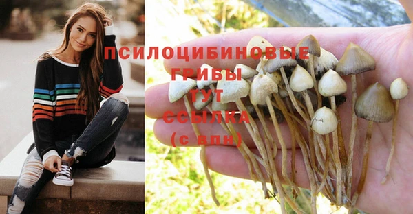 МДПВ Богородицк