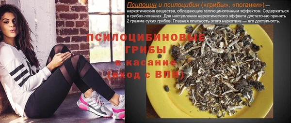 МДПВ Богородицк