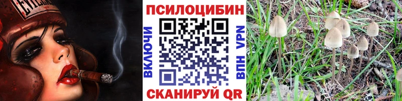 Псилоцибиновые грибы GOLDEN TEACHER  Купить где  Сосновый Бор 